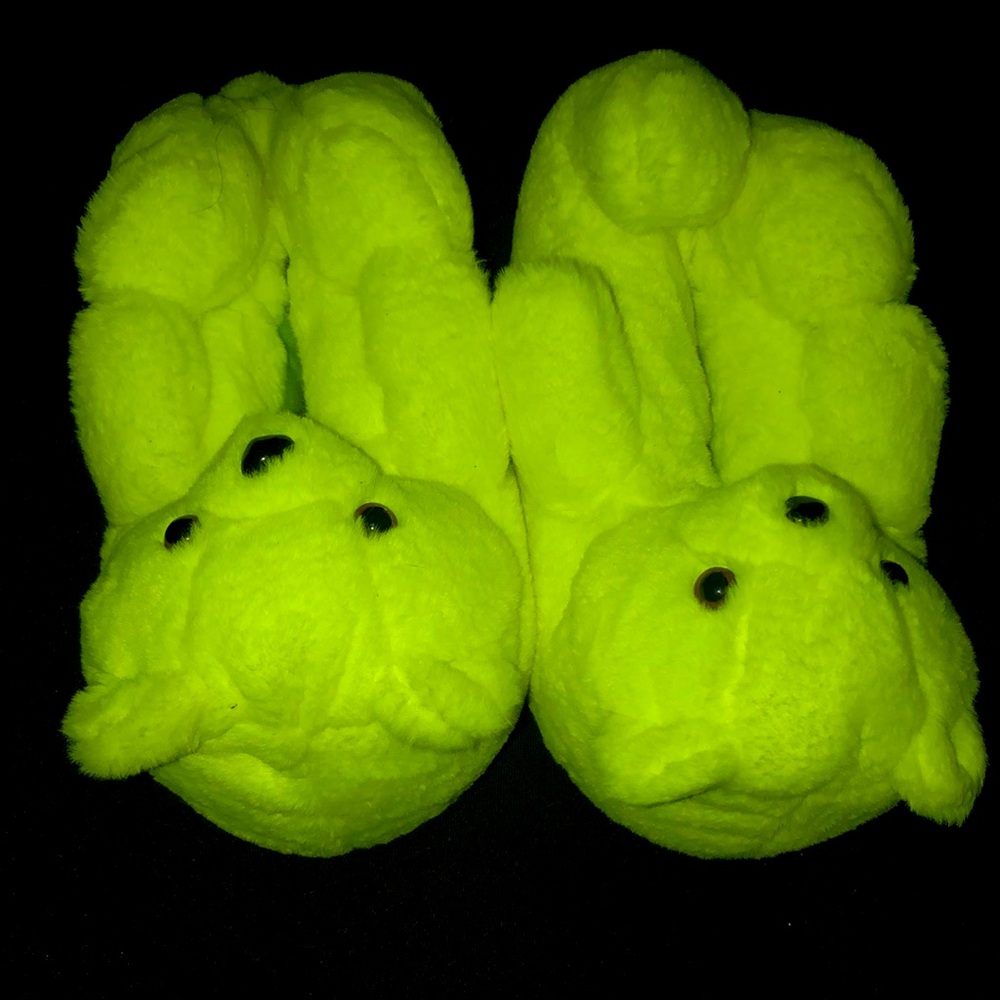 Bear slippers
